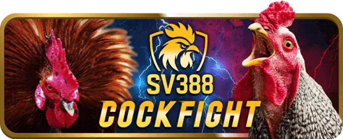 Quy trình đăng ký đối tác